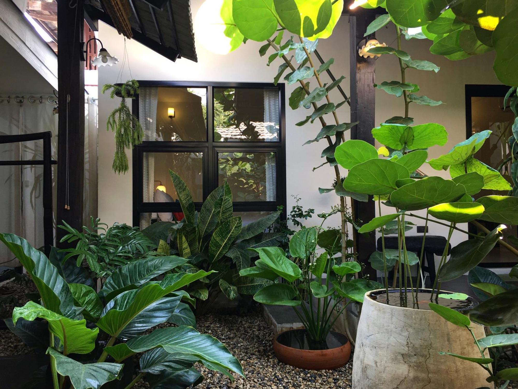 Su Kho Rom Always Home ศุโขรมย์ - Adults Only Chiang Mai Bagian luar foto